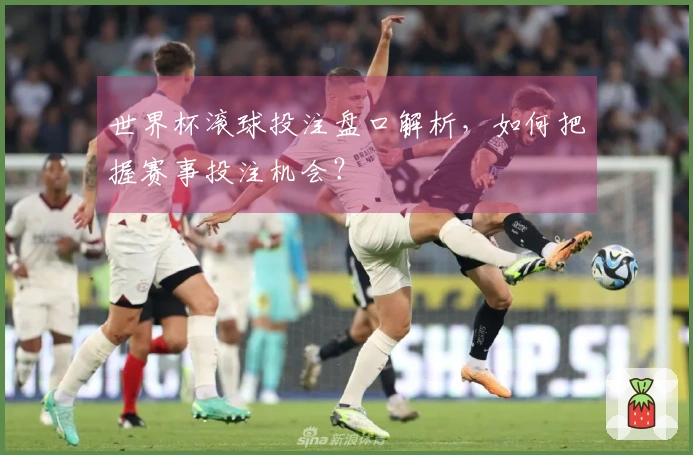 世界杯滚球投注盘口解析，如何把握赛事投注机会？