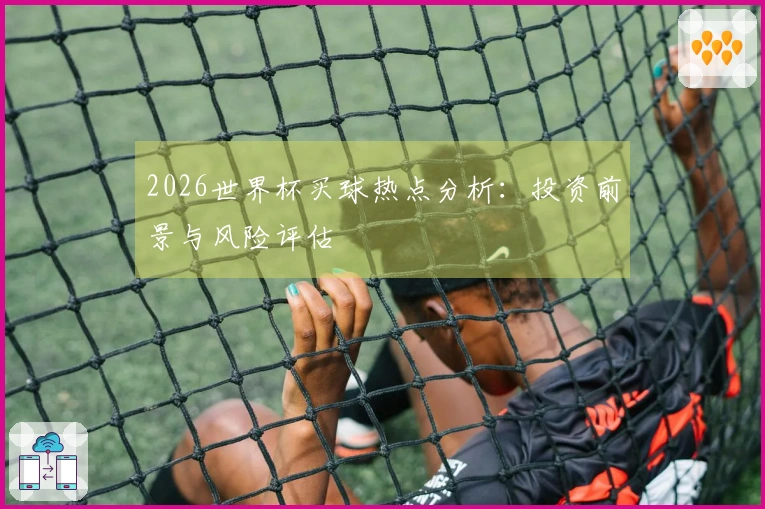 2026世界杯买球热点分析：投资前景与风险评估