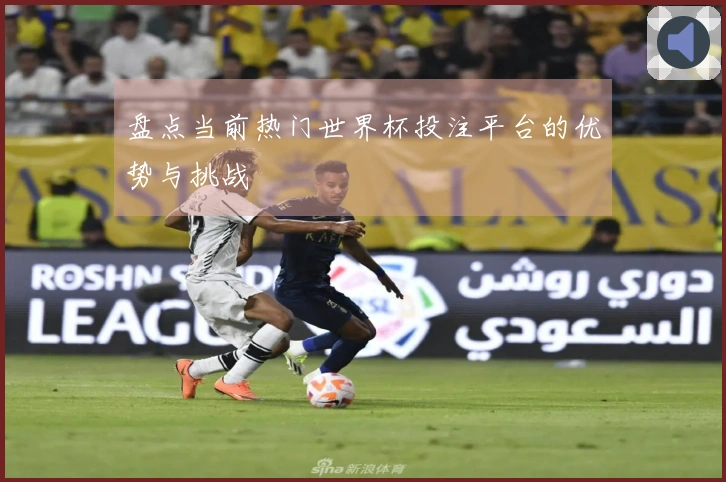盘点当前热门世界杯投注平台的优势与挑战