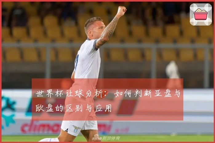 世界杯让球分析：如何判断亚盘与欧盘的区别与应用