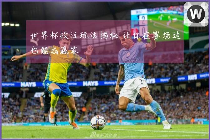 世界杯投注玩法揭秘 让你在赛场边也能成赢家