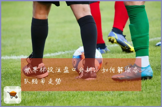 世界杯投注盘口分析：如何解读各队赔率走势