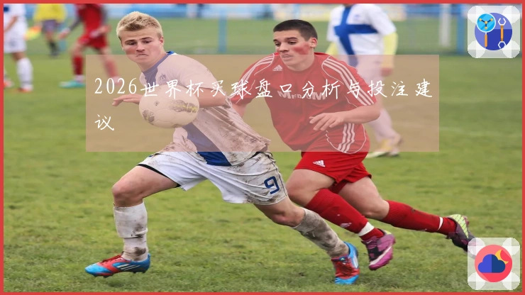 2026世界杯买球盘口分析与投注建议