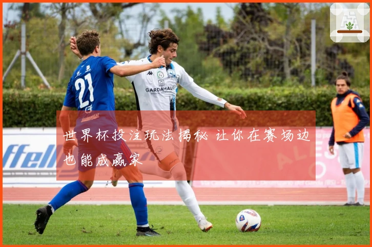 世界杯投注玩法揭秘 让你在赛场边也能成赢家